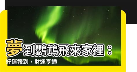 夢到警察來家裡號碼|【夢到警察來家裡號碼】解碼夢中謎團：夢到警察來家裡號碼解。